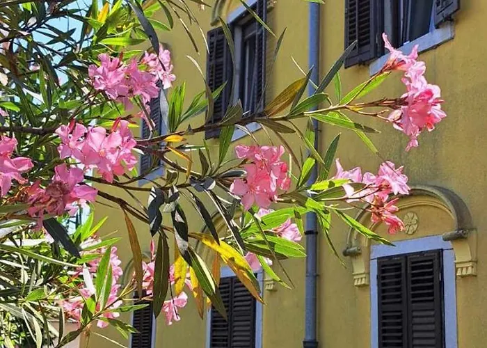 Lejla Lejlighed Koper